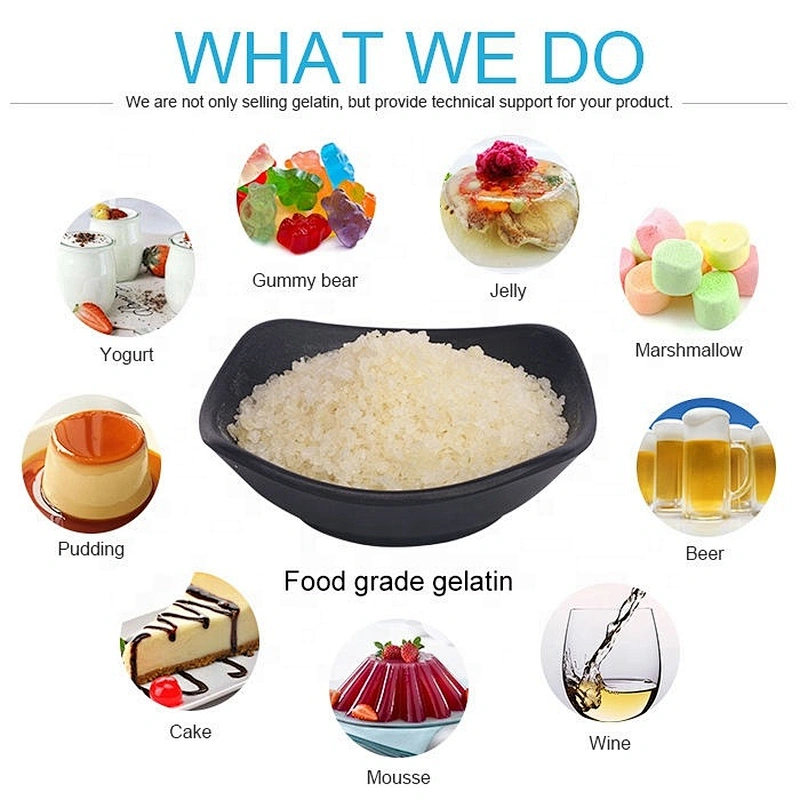 Free sample 1kg halal food grade 250 bloom gelatin powder
